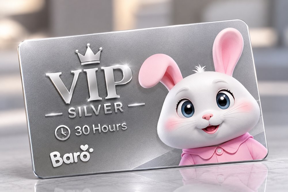 کارت پکیج VIP سیلور ۳۰ ساعته خانه بازی باروکیدز
